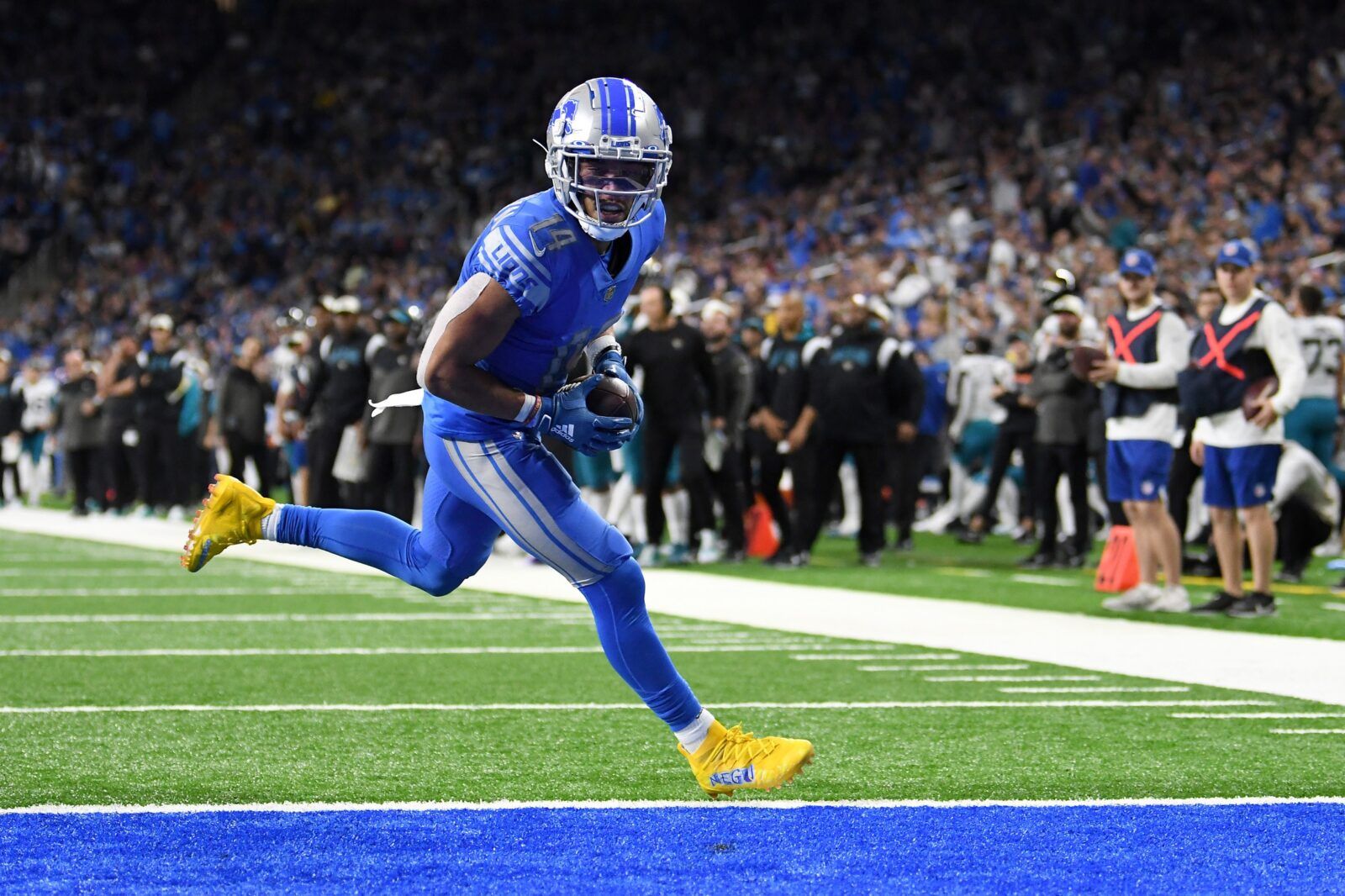 Questions Answered: Lions Good or Not