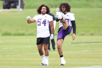Ranking the North: Where Does the New-Look Vikings Linebacker Room Stand?