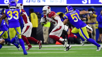 Did the Vikings Unearth a Diamond in the Rough in LB Troy Reeder?