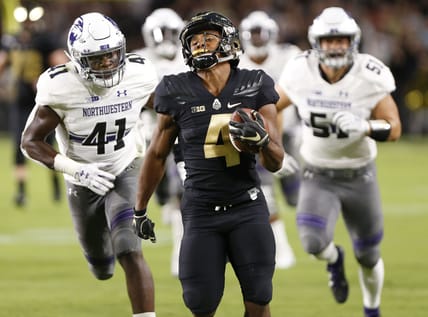 minnesota vikings rondale moore