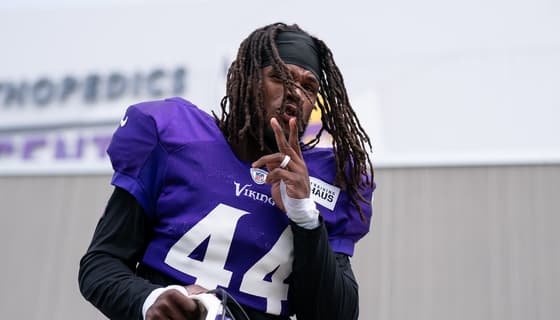 Vikings Defenders