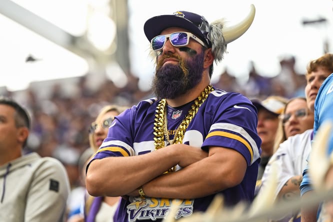 Vikings fan