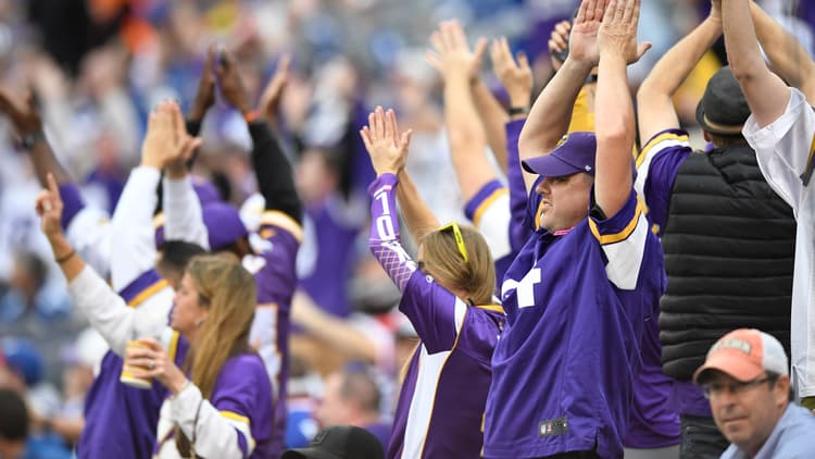 Vikings Fans
