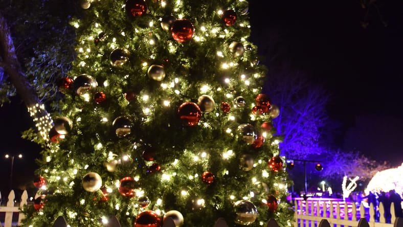 Syndication: Austin American-Statesman