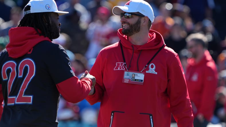 Vikings Hire Experienced Coach