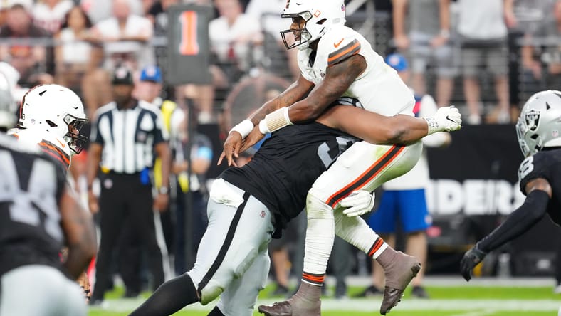 minnesota vikings christian wilkins brian flores