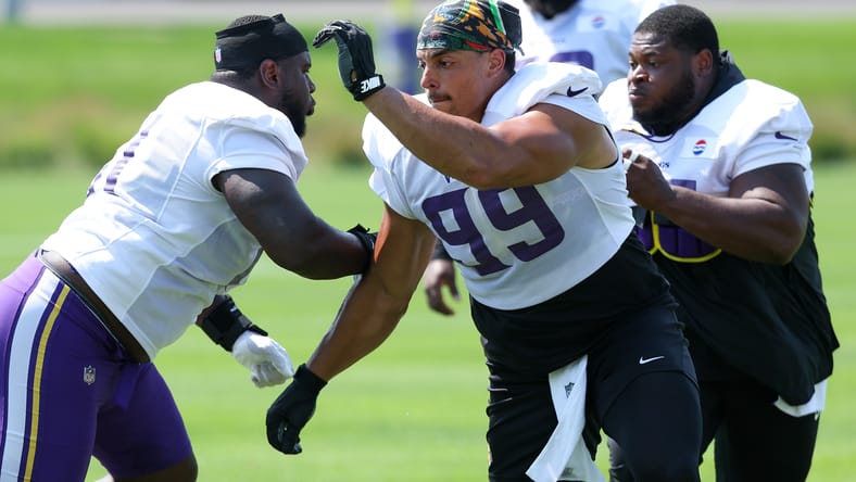 minnesota vikings levi drake rodriguez