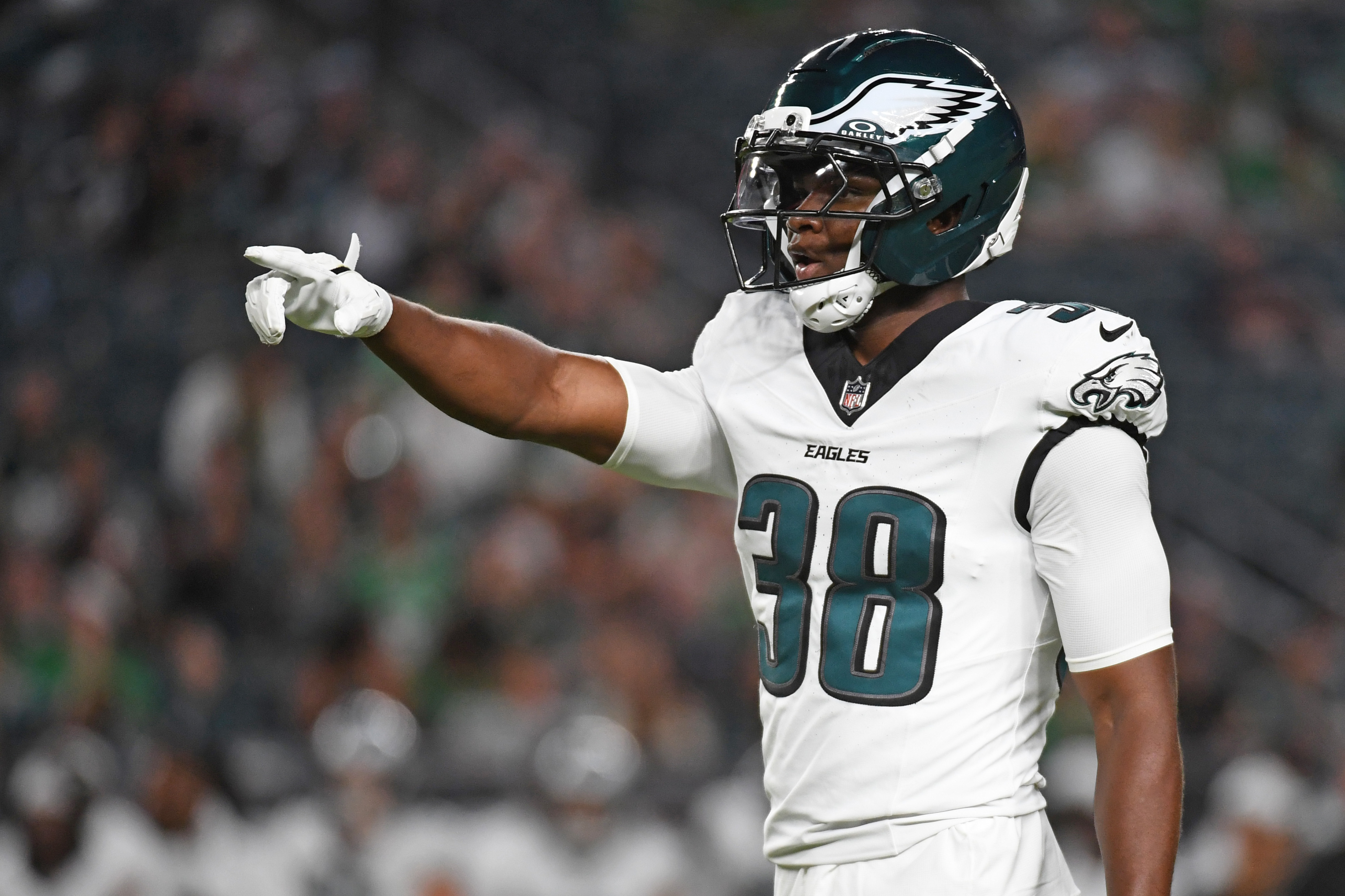 minnesota vikings lewis cine