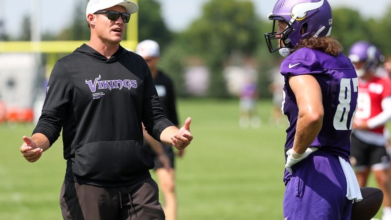 minnesota vikings