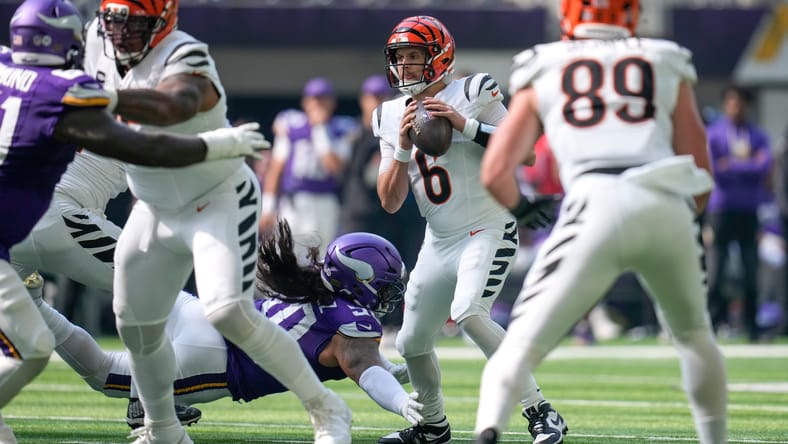 minnesota vikings levi drake rodriguez