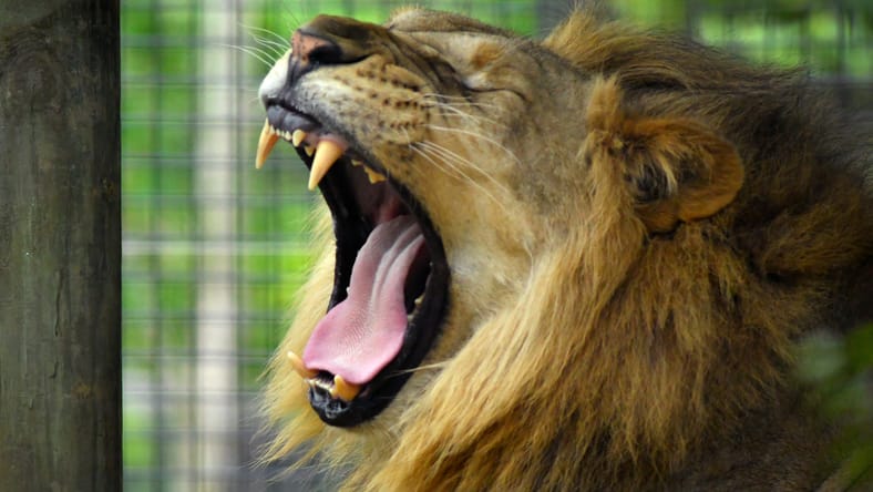 Syndication: Florida Today