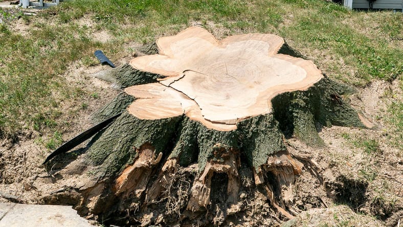 Syndication: Bucks County Courier Times