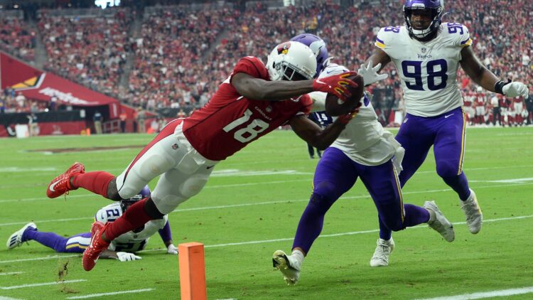 Minnesota Vikings Arizona Cardinals Football Game State Farm