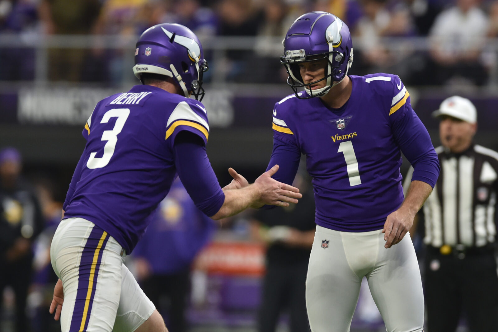 Vikings bring back kicker Joseph, long snapper DePaola 