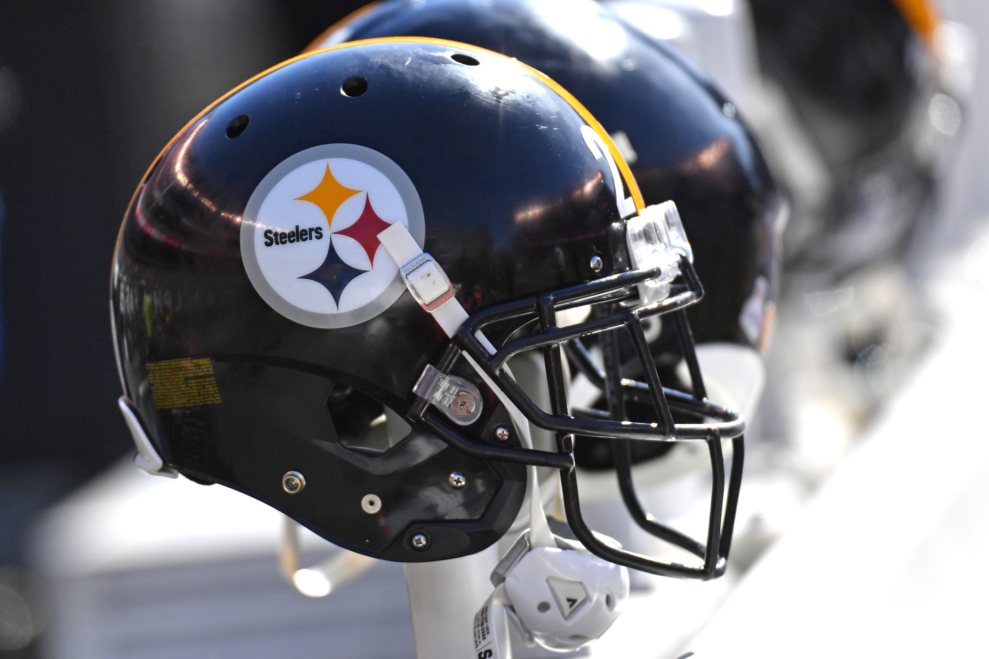 Pittsburgh Steelers Release WR Dez Fitzpatrick - Sports Illustrated  Pittsburgh Steelers News, Analysis and More