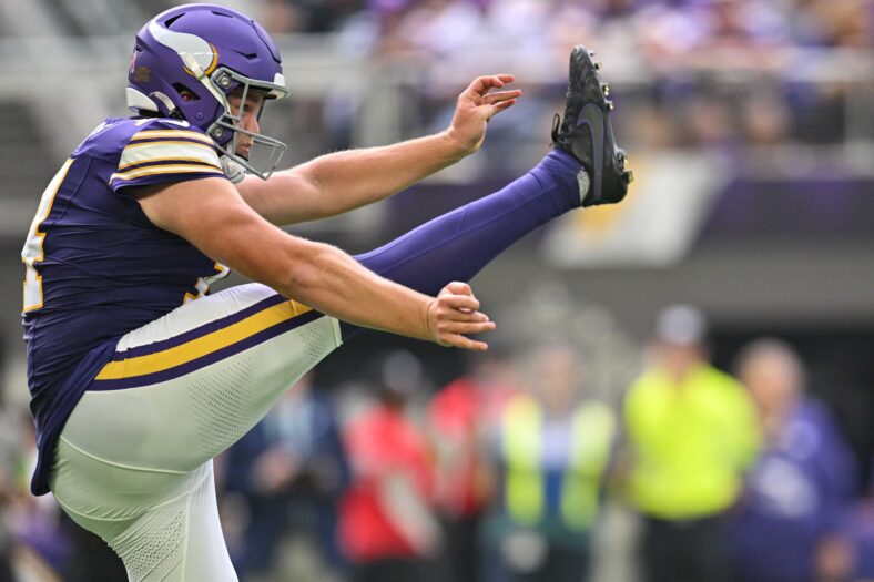 Minnesota Vikings punter Ryan Wright (14) punts against the