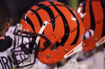 Vikings Lose Assistant Coach to Bengals